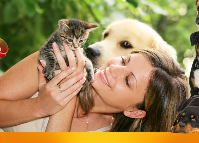www.zoomagazini.com