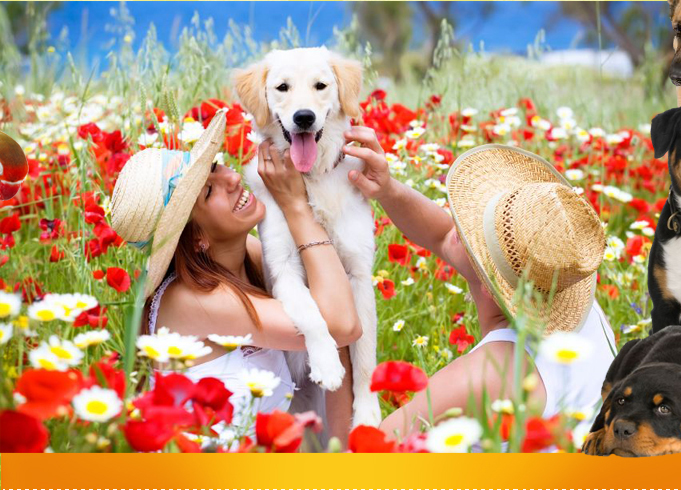 www.zoomagazini.com