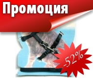 ZOOMAGAZINI.COM - комплект повод и нагръдник за котки с модерен дизайн